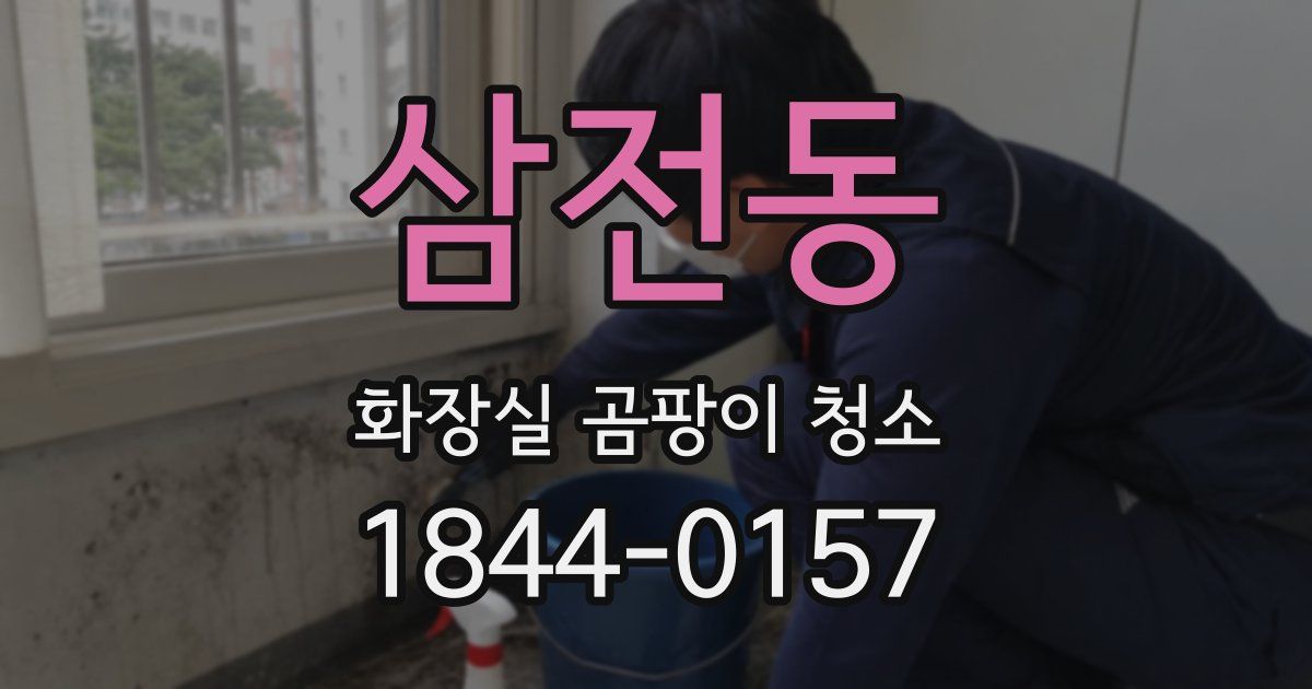삼전동 화장실 곰팡이 청소