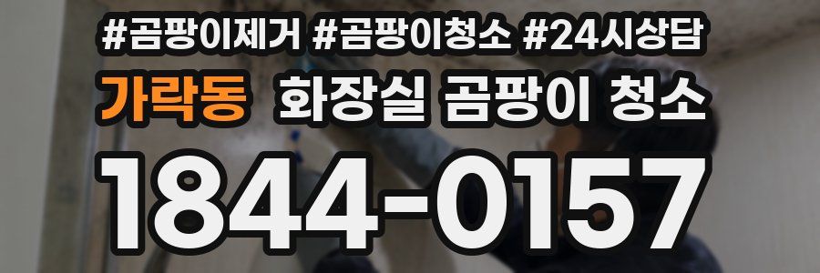가락동 화장실 곰팡이 청소