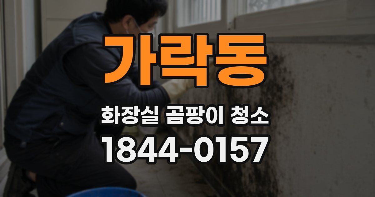 가락동 화장실 곰팡이 청소
