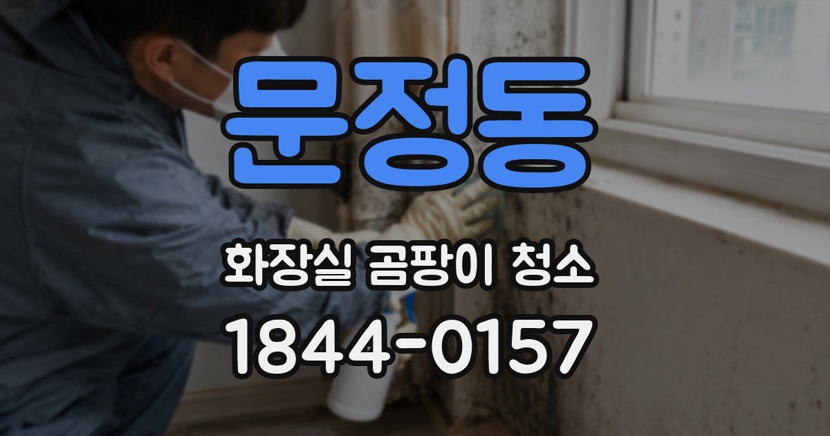 문정동 화장실 곰팡이 청소