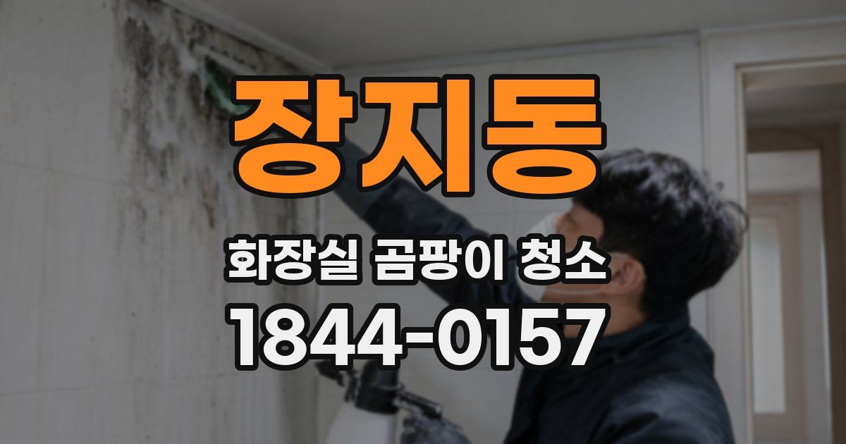장지동 화장실 곰팡이 청소