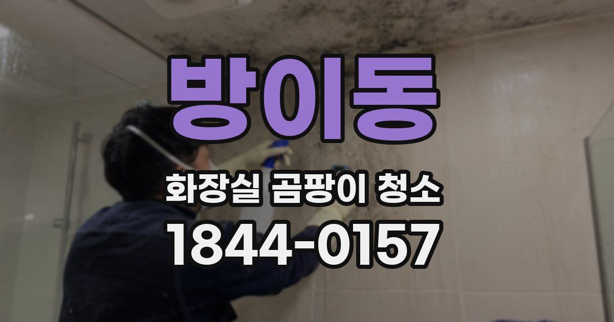 방이동 화장실 곰팡이 청소