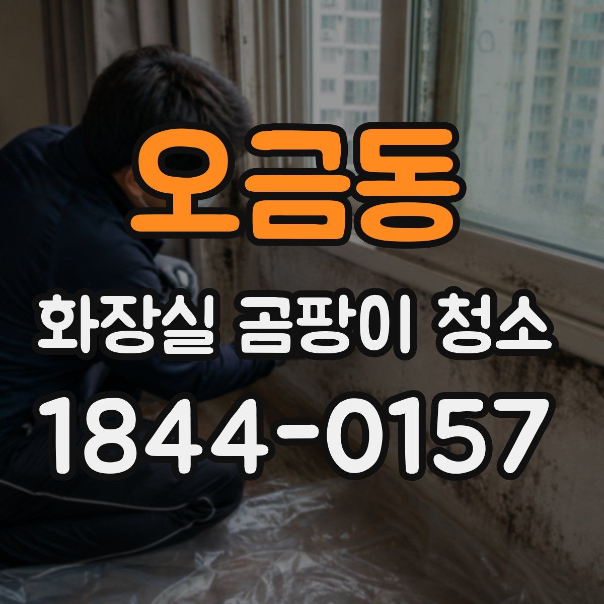 오금동 화장실 곰팡이 청소