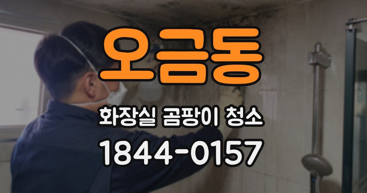 오금동 화장실 곰팡이 청소