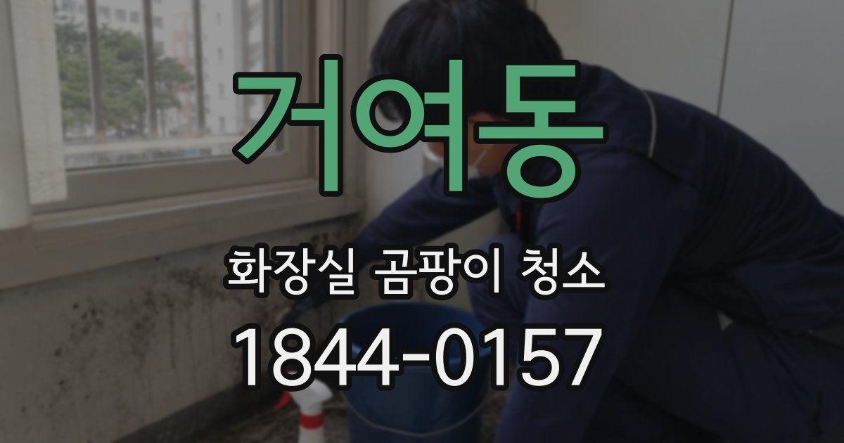 거여동 화장실 곰팡이 청소