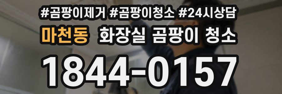마천동 화장실 곰팡이 청소