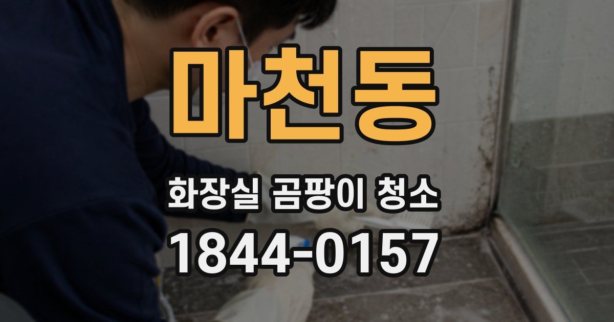 마천동 화장실 곰팡이 청소