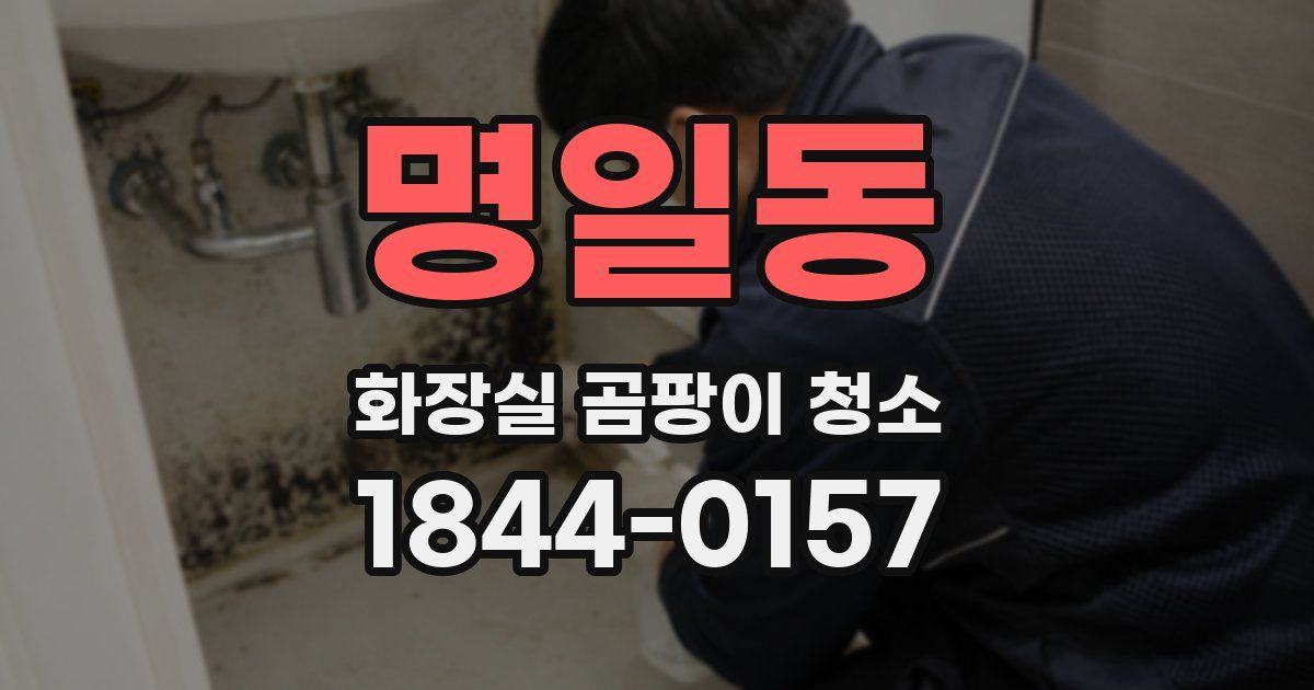 명일동 화장실 곰팡이 청소