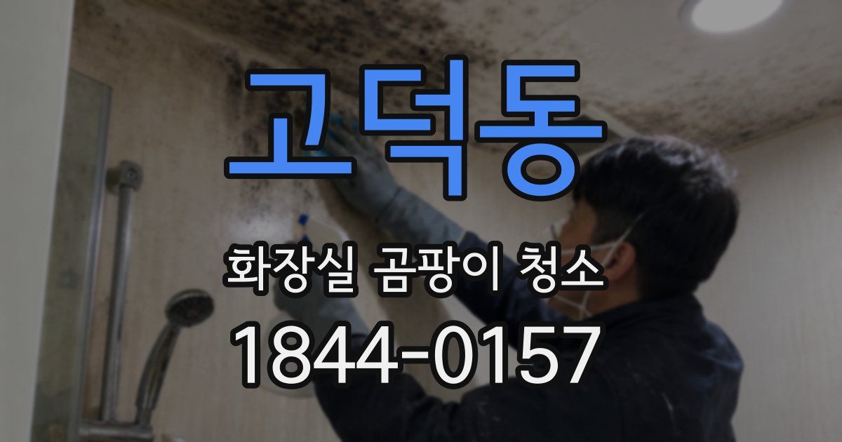 고덕동 화장실 곰팡이 청소