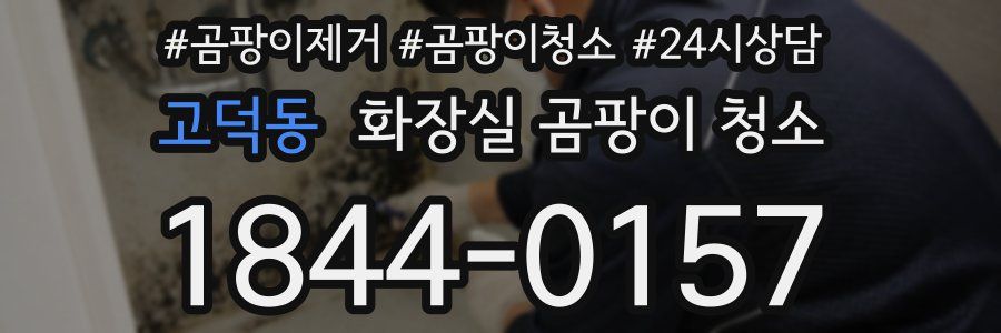 고덕동 화장실 곰팡이 청소