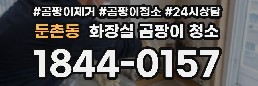 둔촌동 화장실 곰팡이 청소