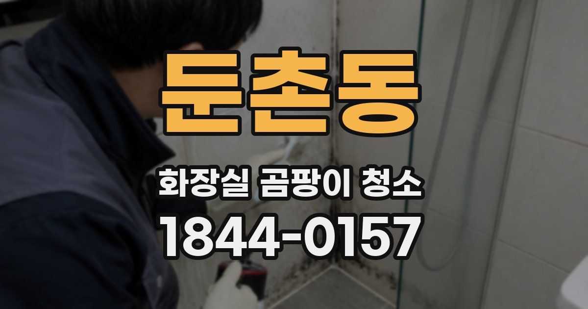둔촌동 화장실 곰팡이 청소