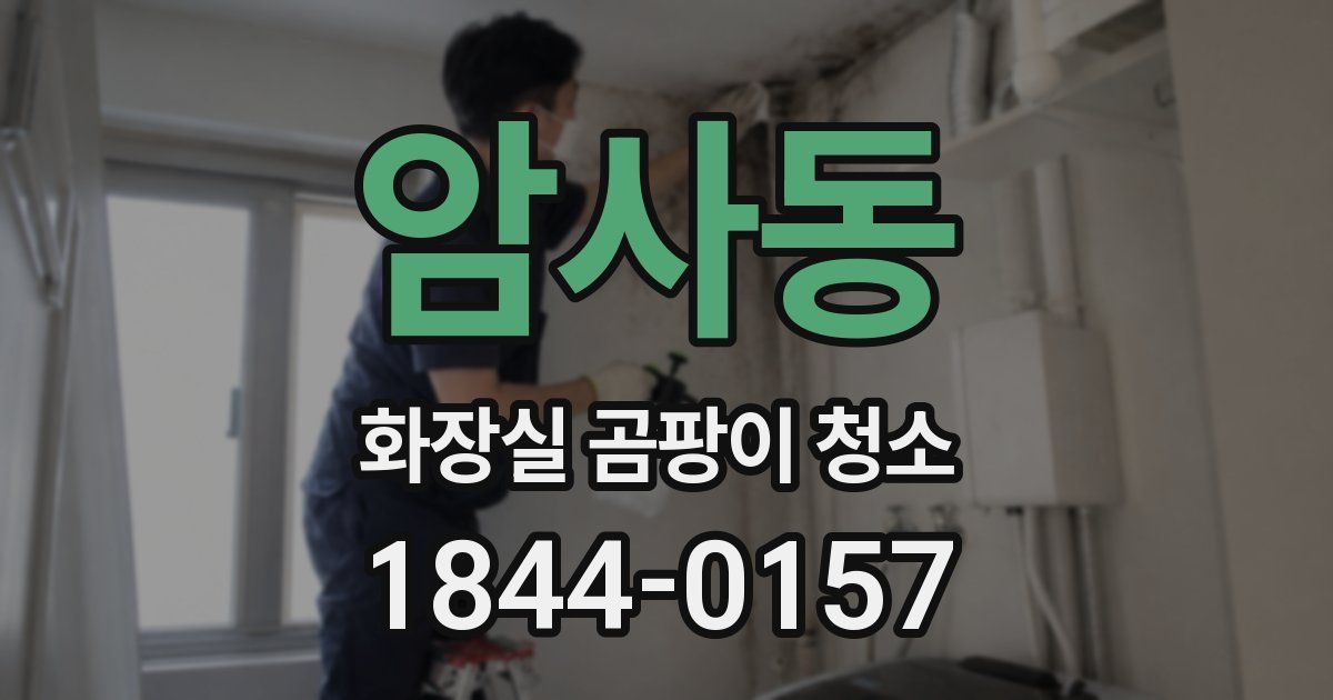 암사동 화장실 곰팡이 청소