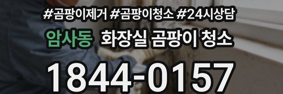 암사동 화장실 곰팡이 청소