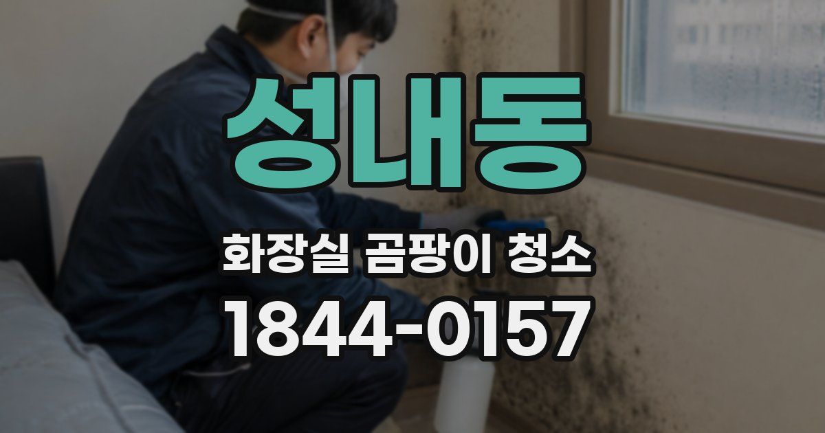 성내동 화장실 곰팡이 청소