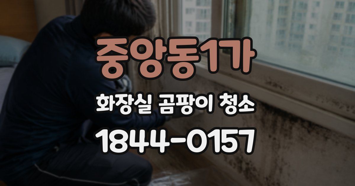 중앙동1가 화장실 곰팡이 청소