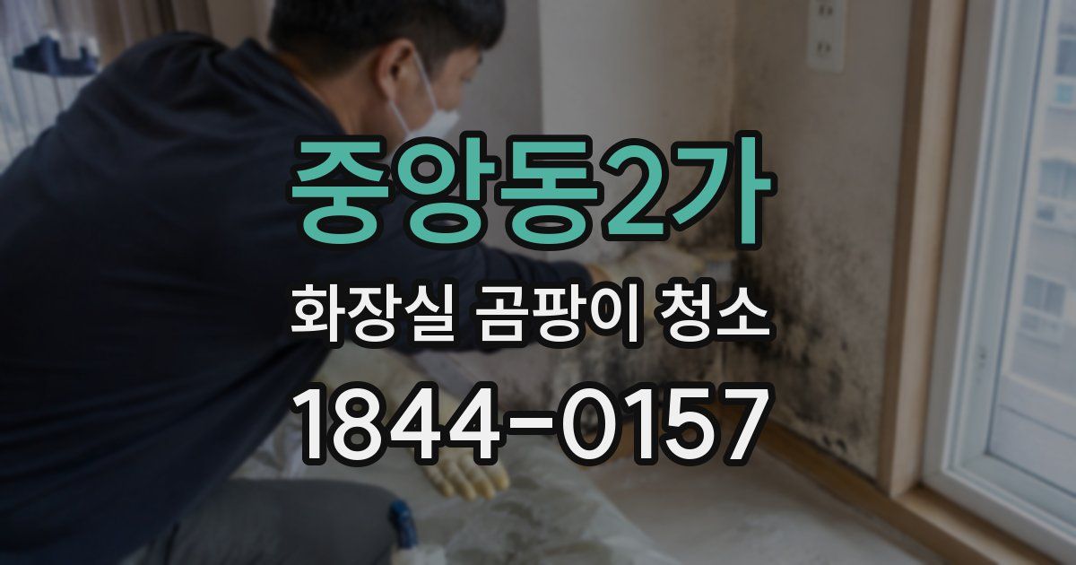 중앙동2가 화장실 곰팡이 청소