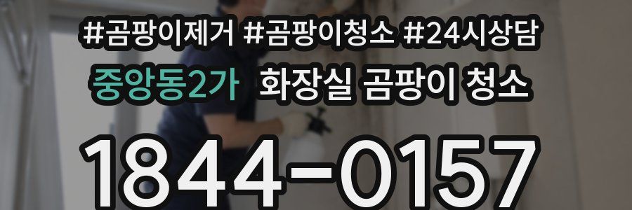 중앙동2가 화장실 곰팡이 청소