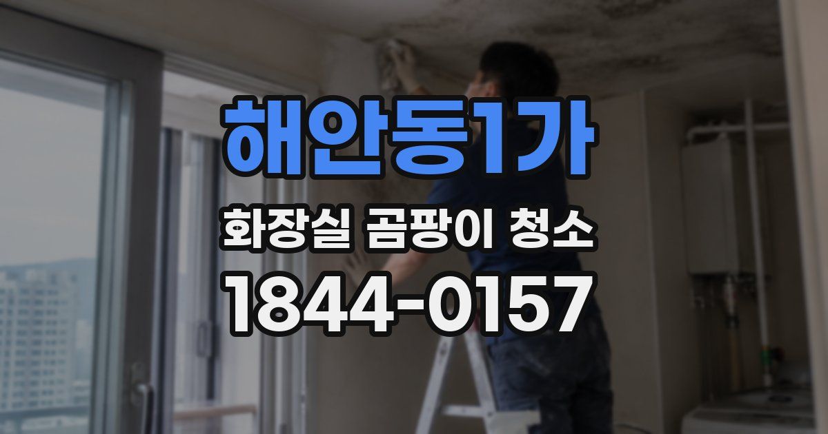 해안동1가 화장실 곰팡이 청소