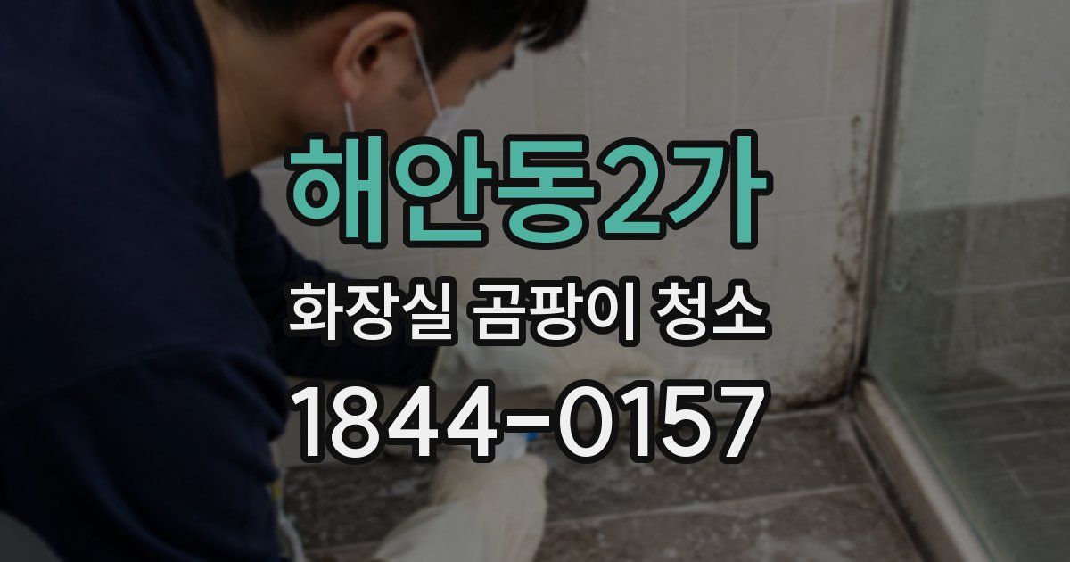 해안동2가 화장실 곰팡이 청소
