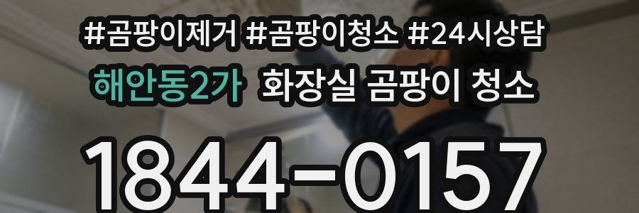 해안동2가 화장실 곰팡이 청소