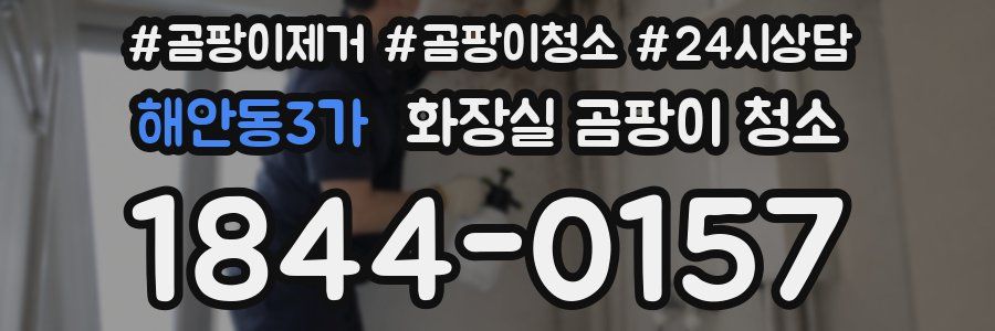 해안동3가 화장실 곰팡이 청소