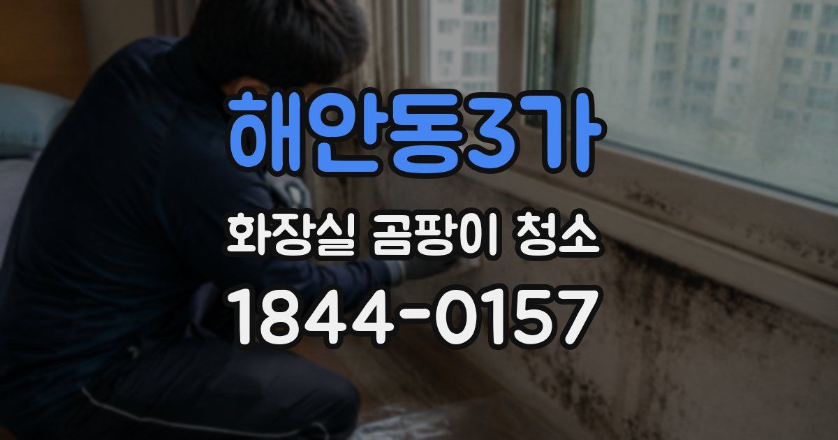 해안동3가 화장실 곰팡이 청소