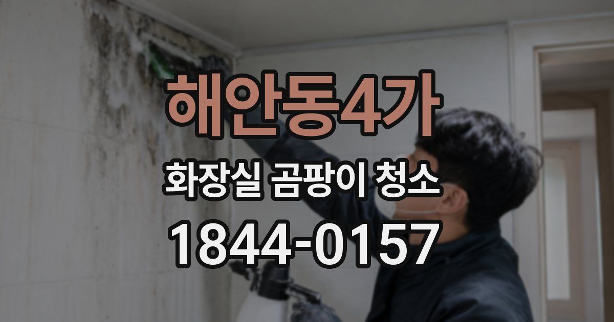 해안동4가 화장실 곰팡이 청소