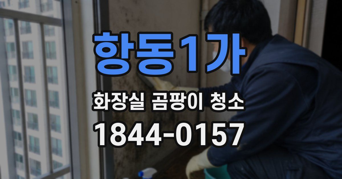 항동1가 화장실 곰팡이 청소