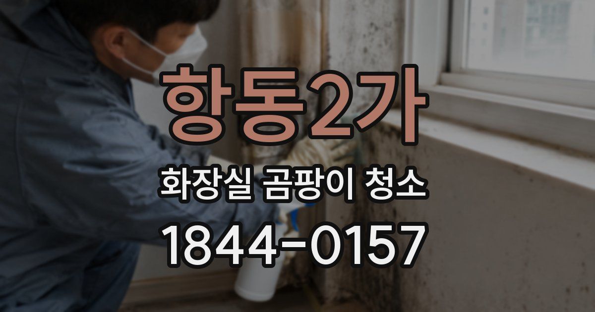 항동2가 화장실 곰팡이 청소