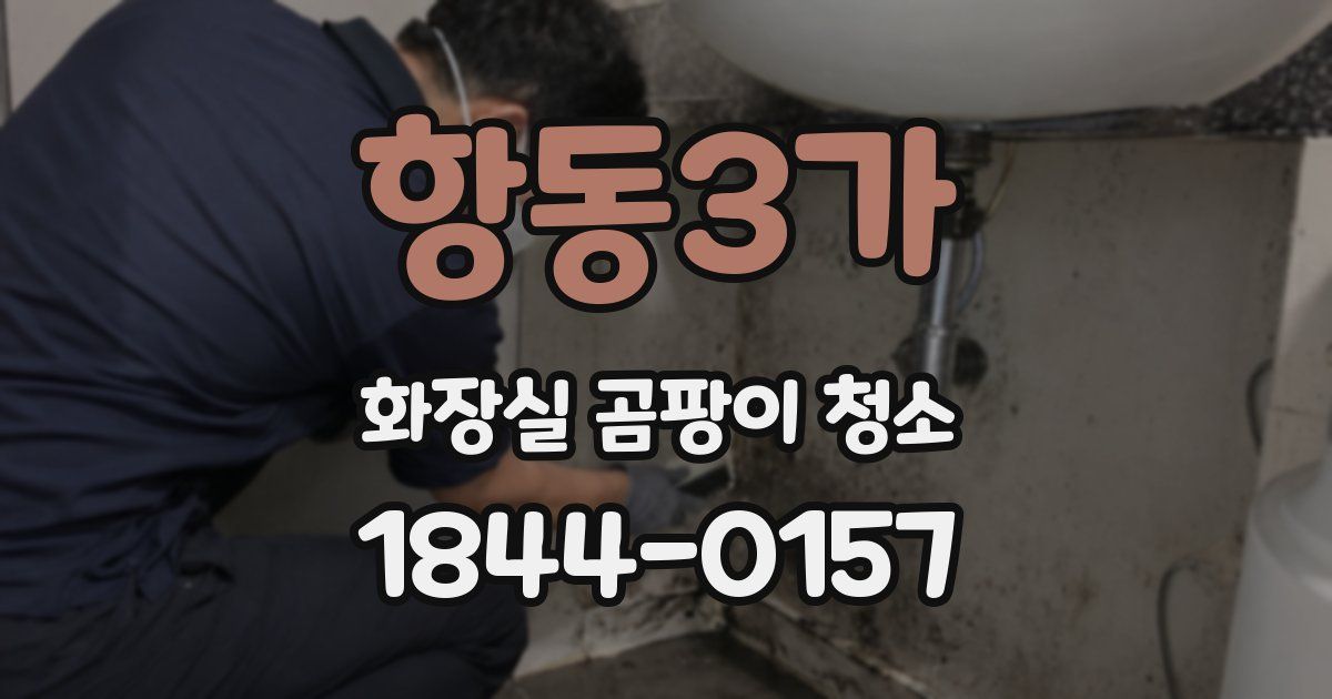 항동3가 화장실 곰팡이 청소