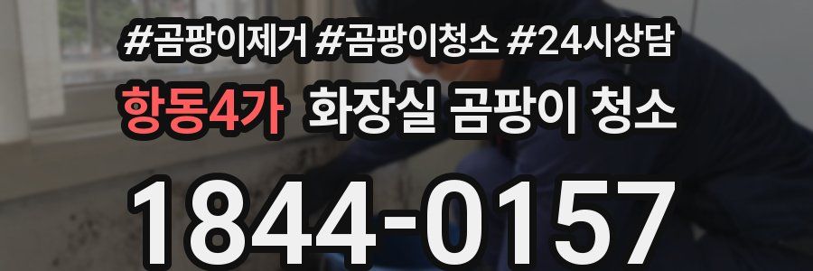 항동4가 화장실 곰팡이 청소