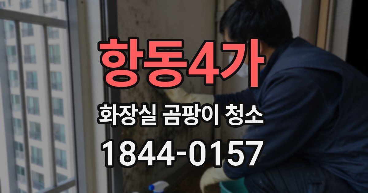 항동4가 화장실 곰팡이 청소