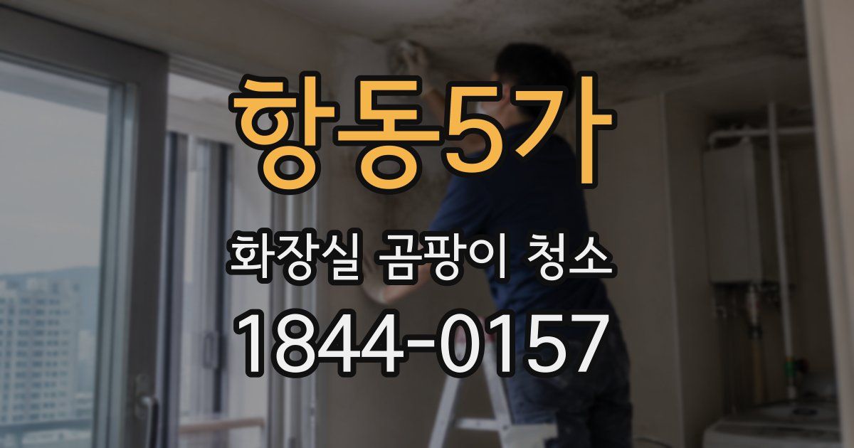 항동5가 화장실 곰팡이 청소