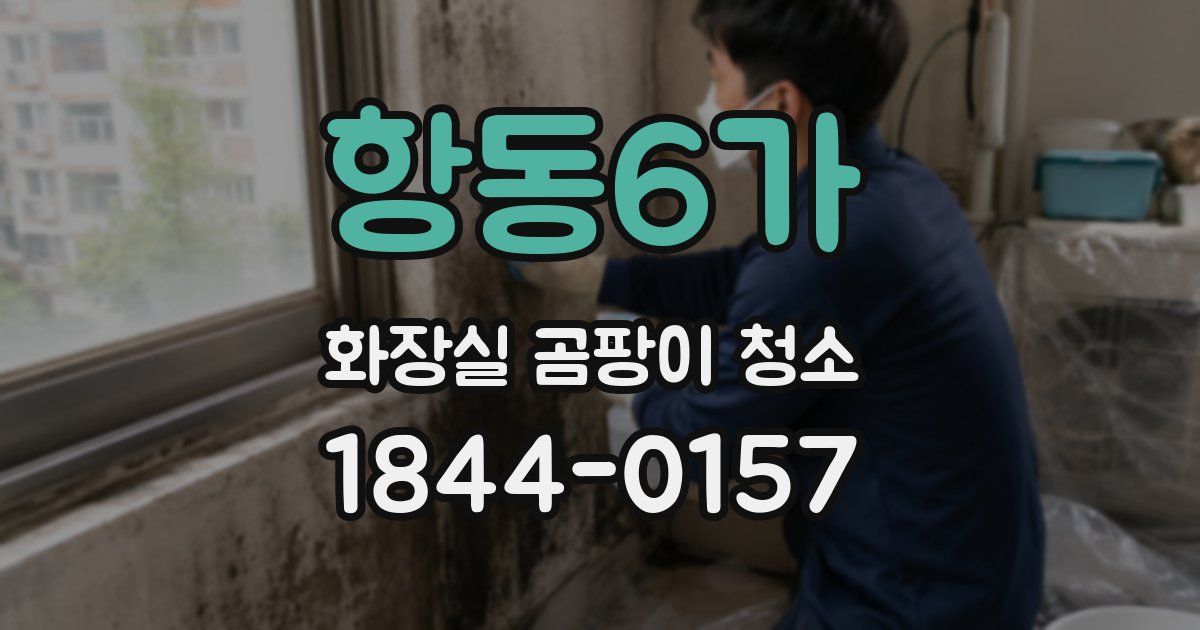 항동6가 화장실 곰팡이 청소