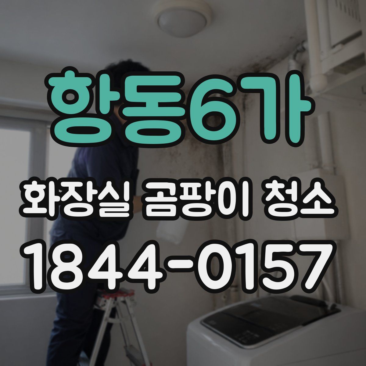 항동6가 화장실 곰팡이 청소