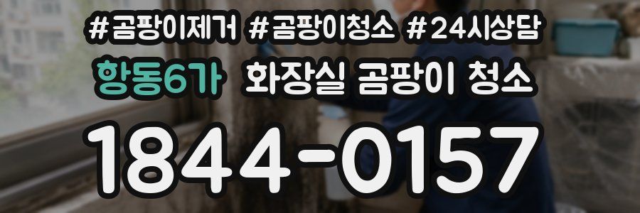 항동6가 화장실 곰팡이 청소