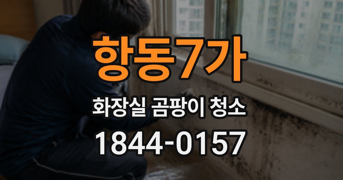 항동7가 화장실 곰팡이 청소