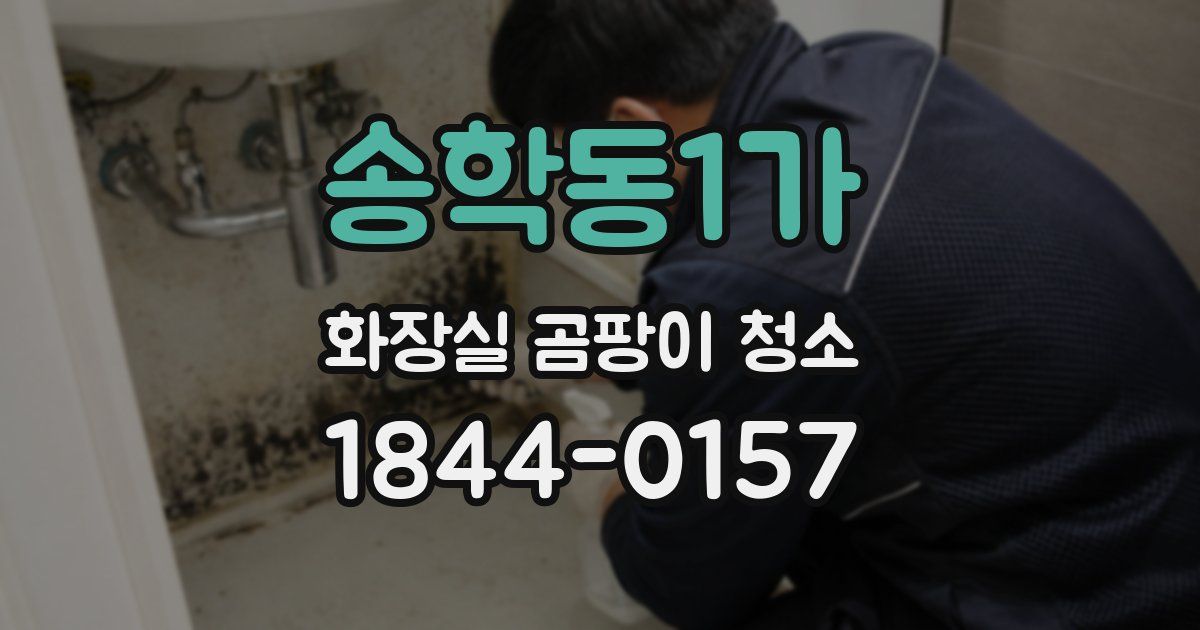 송학동1가 화장실 곰팡이 청소