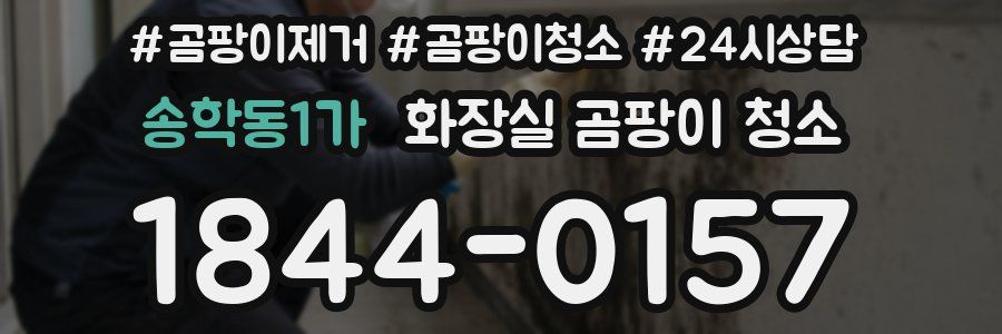 송학동1가 화장실 곰팡이 청소