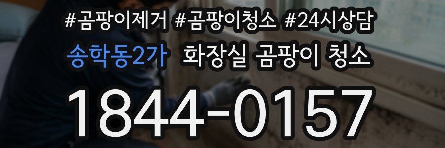 송학동2가 화장실 곰팡이 청소