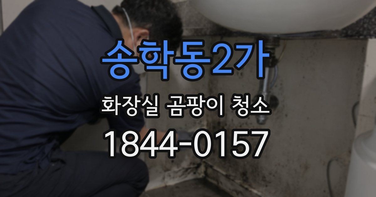 송학동2가 화장실 곰팡이 청소