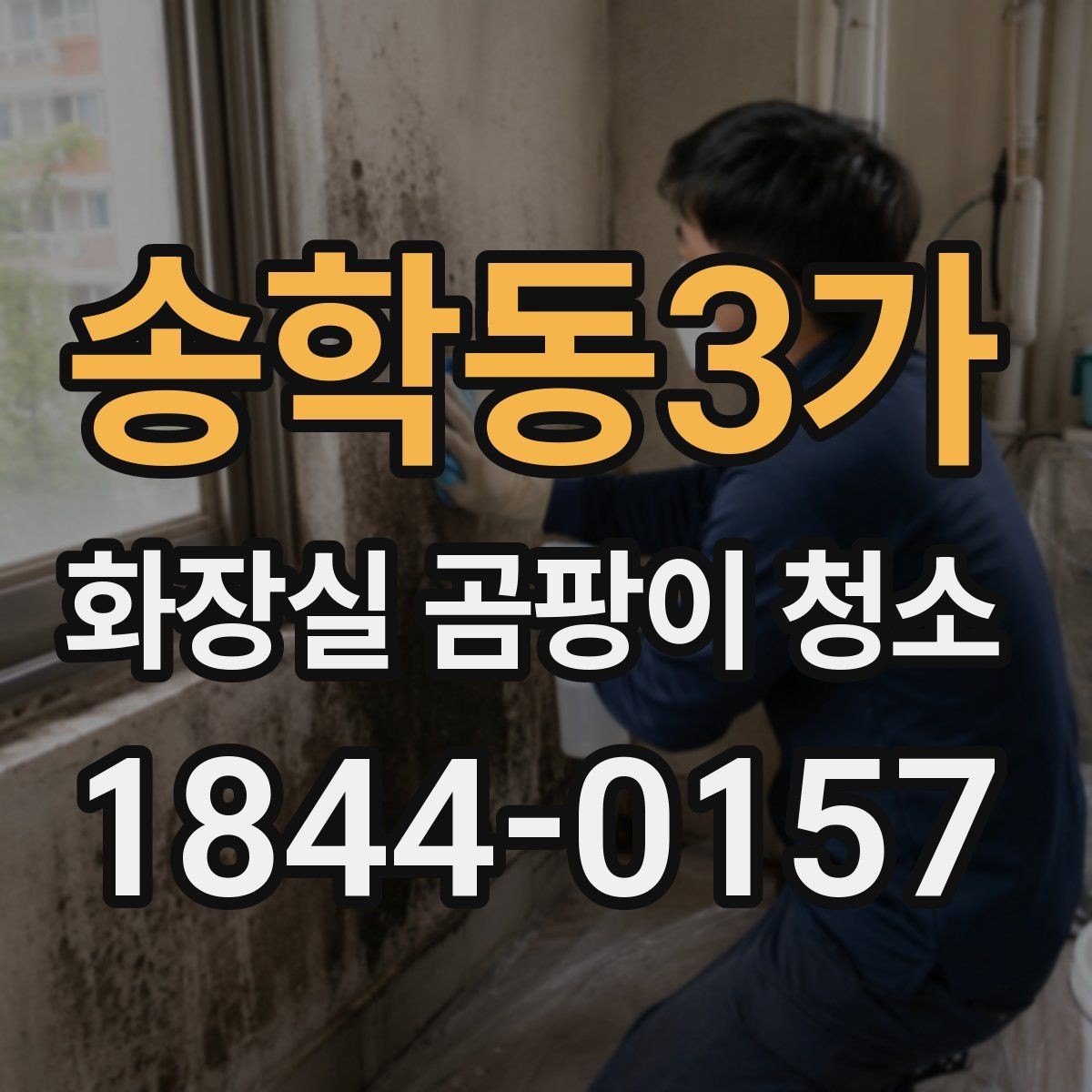 송학동3가 화장실 곰팡이 청소 얼룩이 남는 벽면의 공통 원인