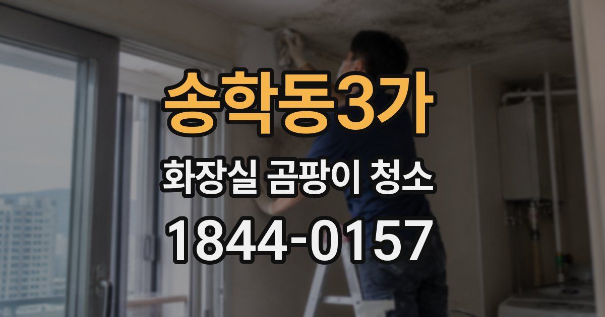 송학동3가 화장실 곰팡이 청소