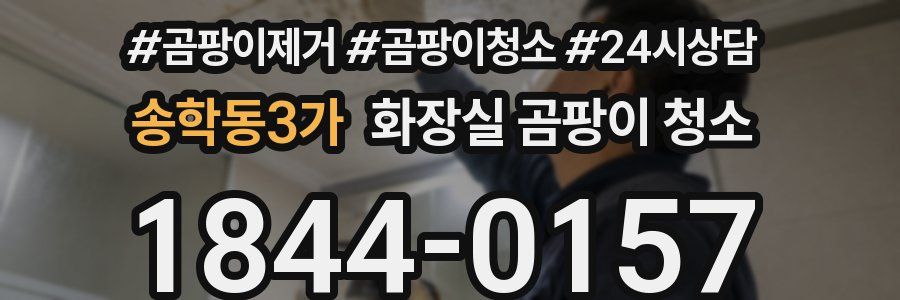 송학동3가 화장실 곰팡이 청소