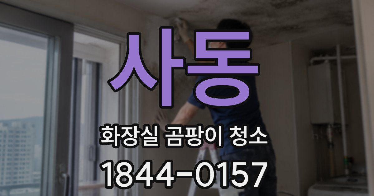사동 화장실 곰팡이 청소