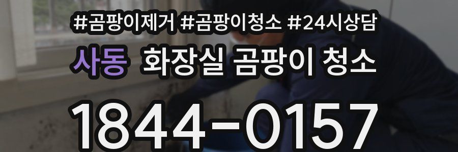 사동 화장실 곰팡이 청소