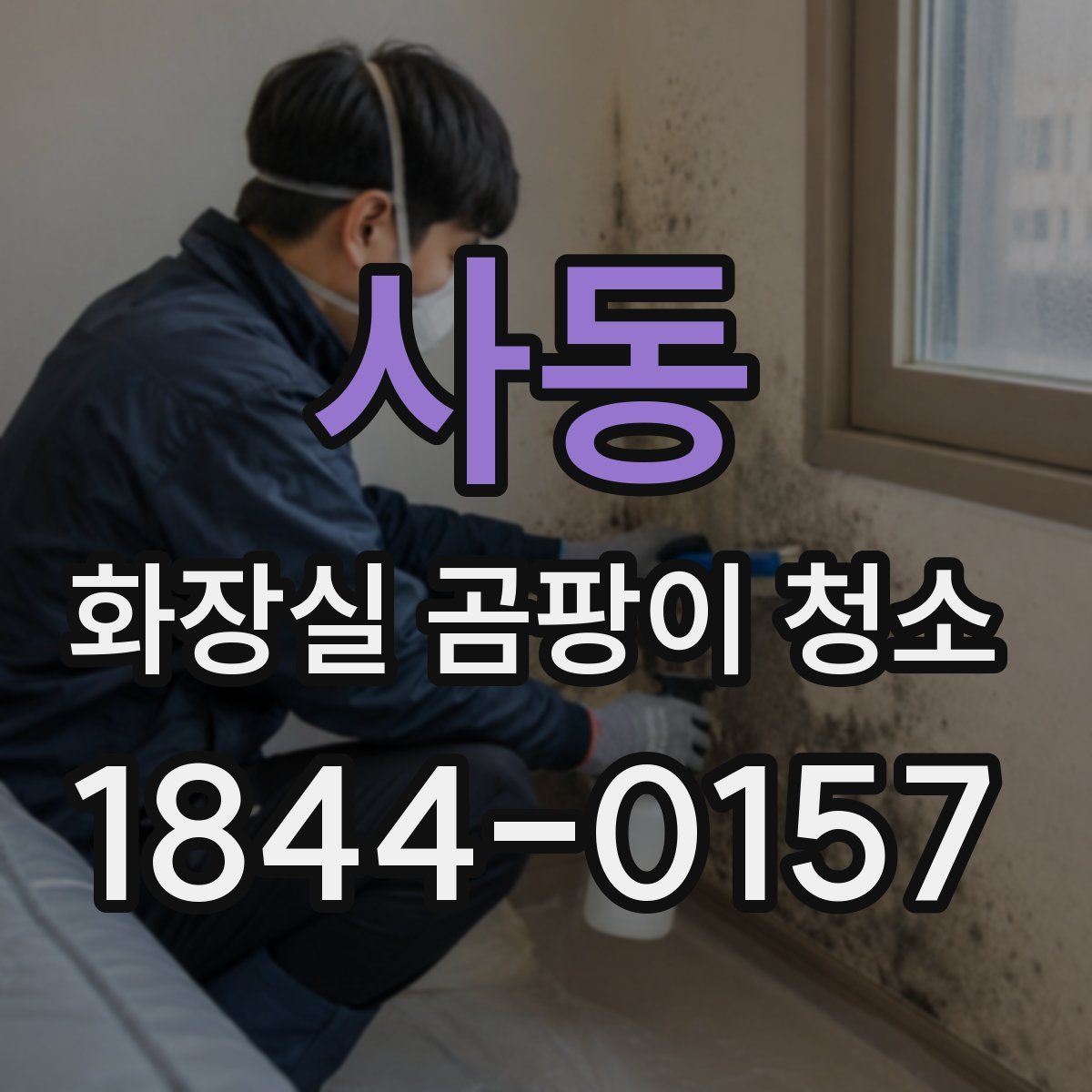 사동 화장실 곰팡이 청소