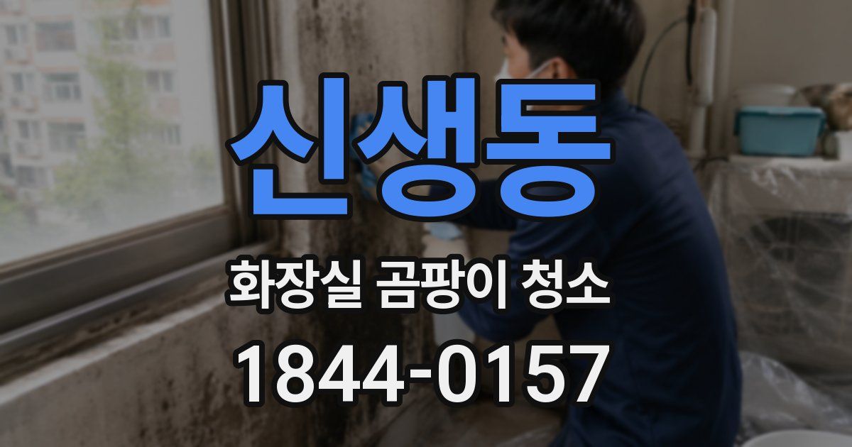 신생동 화장실 곰팡이 청소