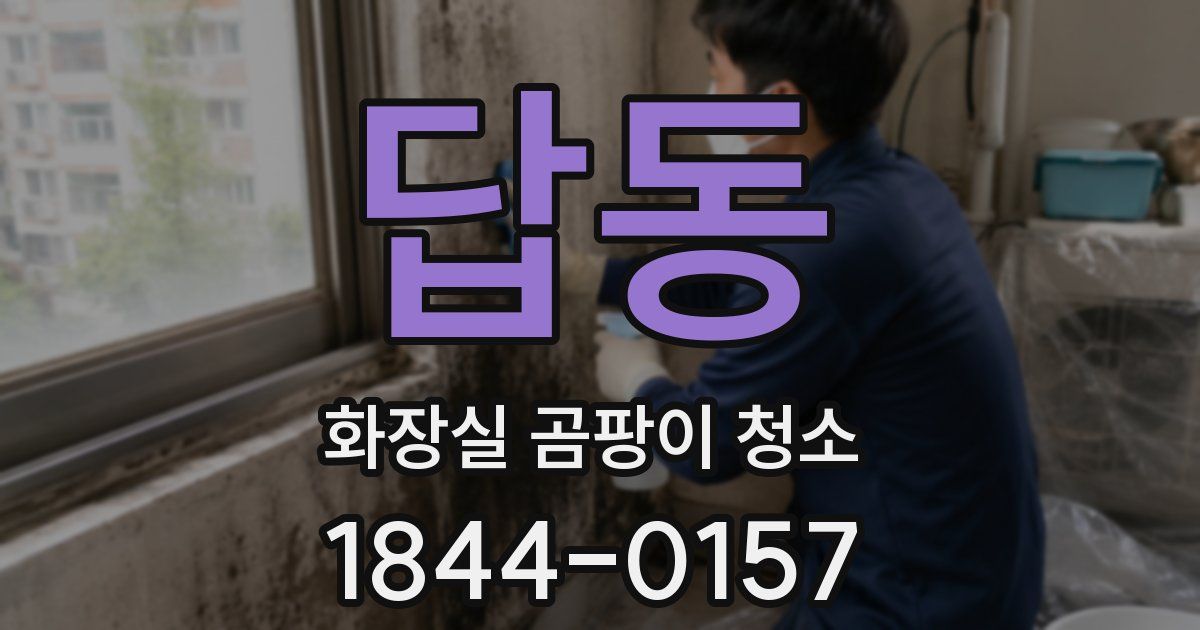 답동 화장실 곰팡이 청소
